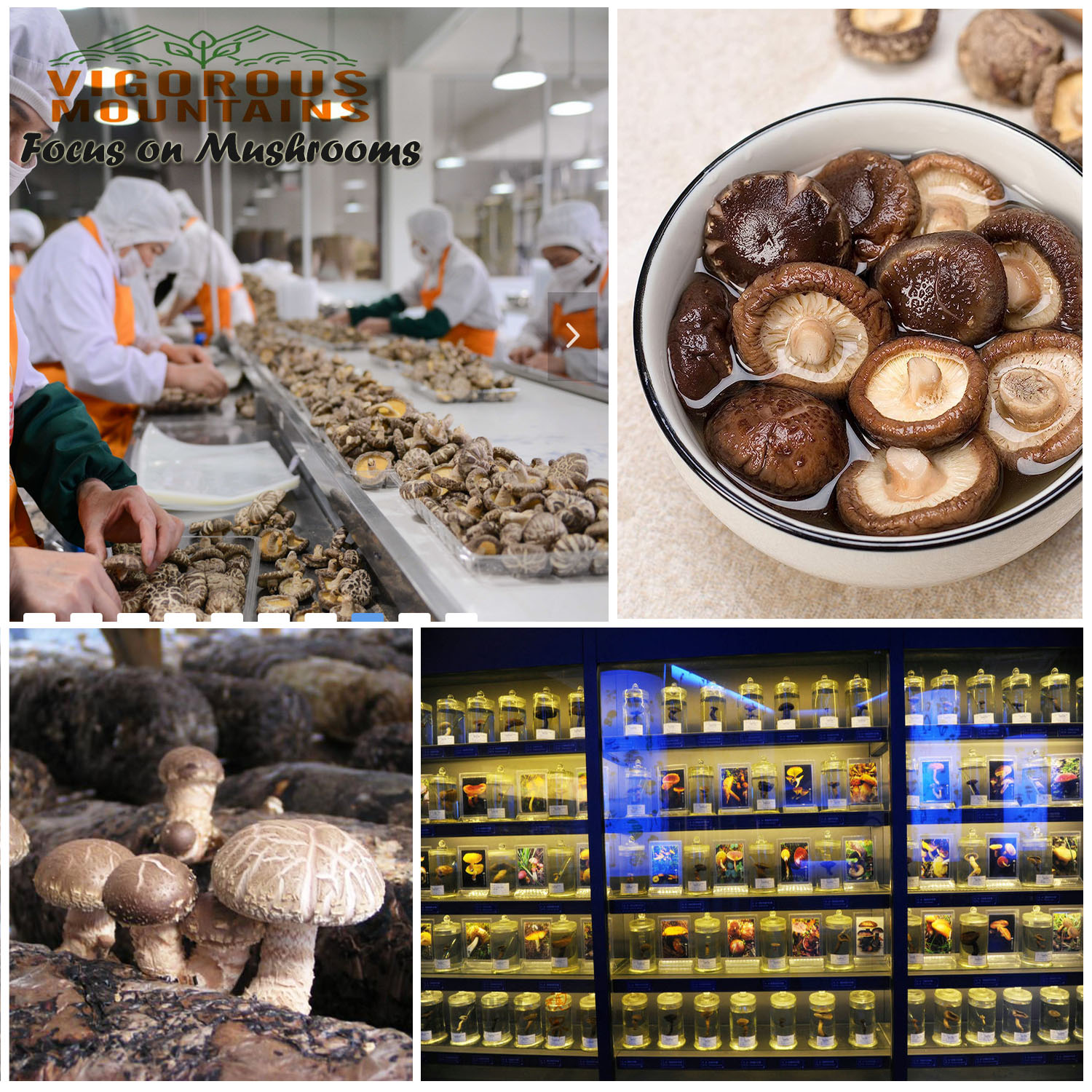 003 dried whole shiitake mushrooms.jpg